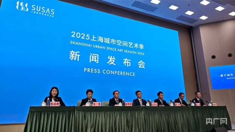 数字岛, 海市政府新